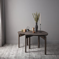 Designer Coffee Tables at Milola