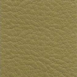 Olive SETA 9053