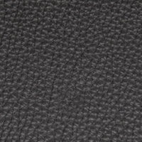 Black Leather (CANSAS 41436)