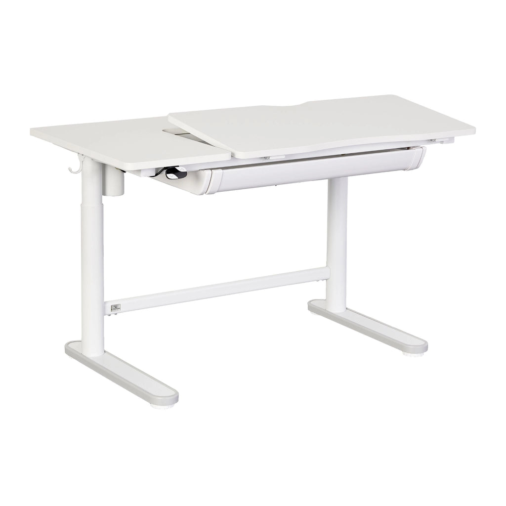 ERGO Electrical Adjustable Desk