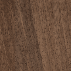 European Walnut Natural Oil