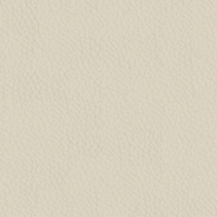 Cream Leather (METROPOLITAN 010)