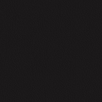 Black Leather (METROPOLITAN 300)