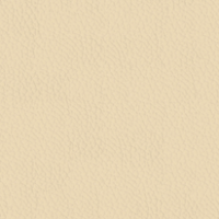 Beige Leather (METROPOLITAN 480)