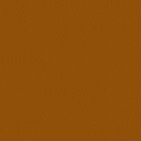 Tan Leather (METROPOLITAN 500)