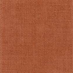 Terracotta (BEGONIA 650)