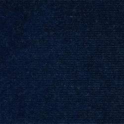 Dark Blue (PETUNIA 104)