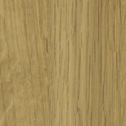Oak White Pigment Oil