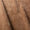 Brown (WILDFLOWER 3)
