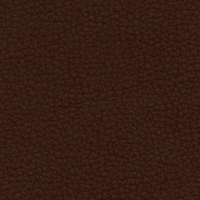 Chocolate Leather (ULTRA 41589)